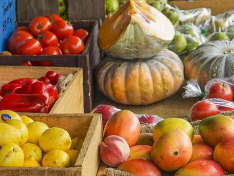 Hobart Showground Sunday Market - Weekly - Accommodation Resorts 2