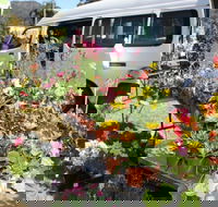 Johns River Country Markets - Accommodation Resorts
