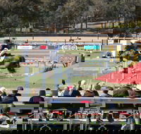 JumpingWillinga - Accommodation Resorts