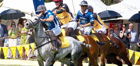 Land Rover Polo In The City Brisbane - Accommodation Resorts 0