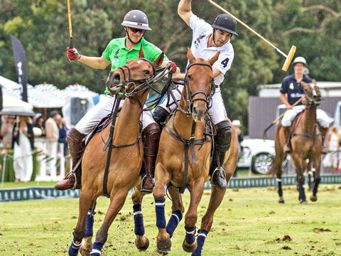 Land Rover Polo In The City - Accommodation Resorts 0