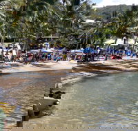 Lions Airlie Beach Community Markets - Accommodation Resorts
