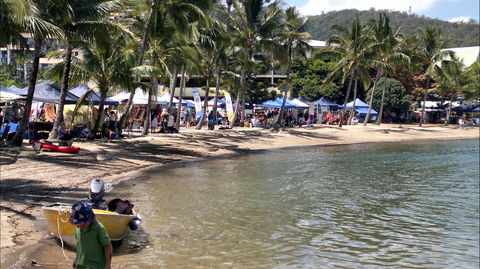 Lions Airlie Beach Community Markets - Accommodation Resorts 0