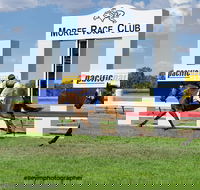 Moree Race Club TAB Race Day - Accommodation Resorts