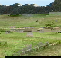 Mount Gambier and District Pony Club Horse Trials 2020 - Accommodation Resorts