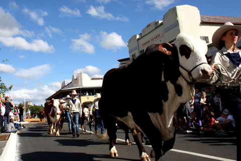 NCMC Casino Beef Week - Accommodation Resorts 1