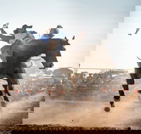 Rodeo by the Sea - Streaky Bay - Accommodation Resorts