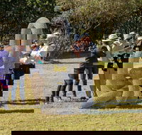 Sculpture for Clyde - Outdoor Exhibition - Accommodation Resorts