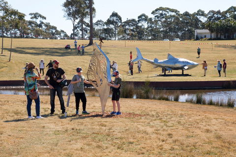 Sculpture For Clyde - Outdoor Exhibition - Accommodation Resorts 2