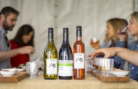 Southern Highlands Food And Wine Festival - Accommodation Resorts 2