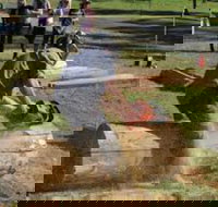 Tocal Field Days - Accommodation Resorts