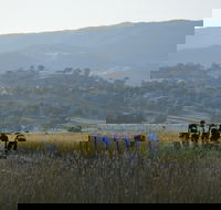 Tumut Cycle Classic - Accommodation Resorts