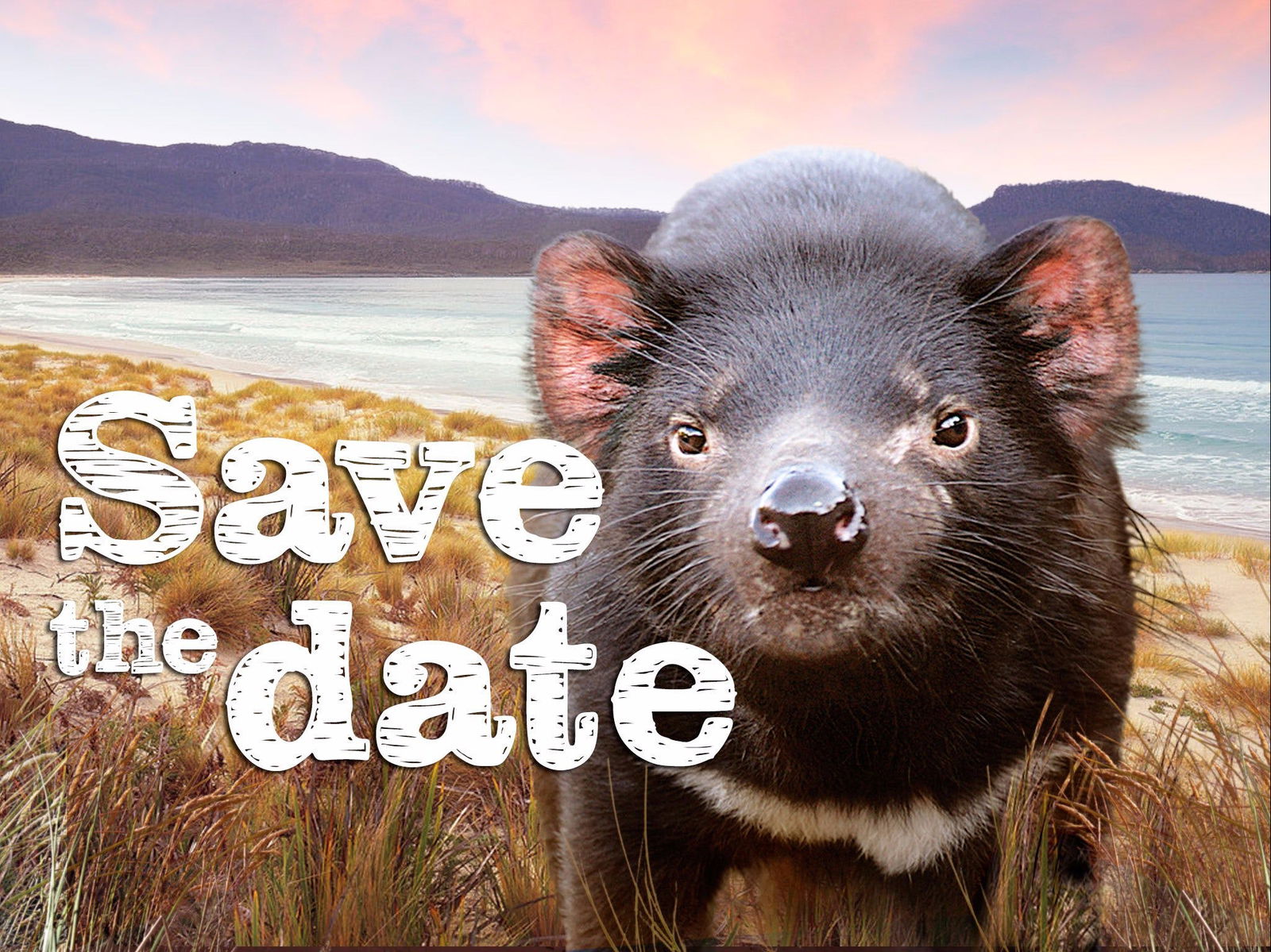 Andover TAS Accommodation Resorts