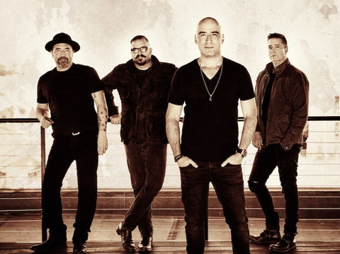 Under The Southern Stars - Gosford - Accommodation Resorts 0