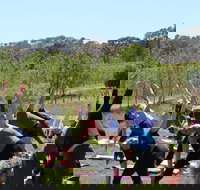Yoga in the Vines - Accommodation Resorts