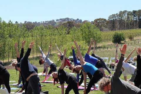 Yoga In The Vines - Accommodation Resorts 0