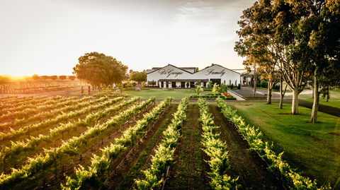 Aged Wine And Vintage Pies - Accommodation Resorts 2