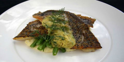 Aquarius Seafood Restaurant - Accommodation Resorts 2