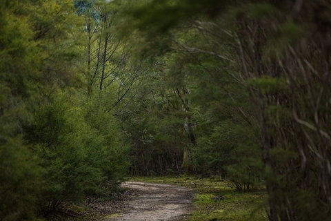 Yering Gorge Cottages - Accommodation Resorts 0