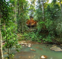 The Canopy Rainforest Treehouses and Wildlife Sanctuary - Accommodation Resorts