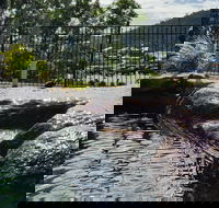 Colonial Palms Motor Inn - Accommodation Resorts