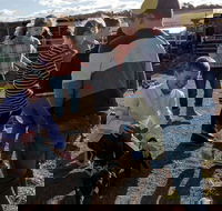 Hunter Valley Resort - Accommodation Resorts