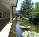 ANU University House Hotel - Accommodation Resorts