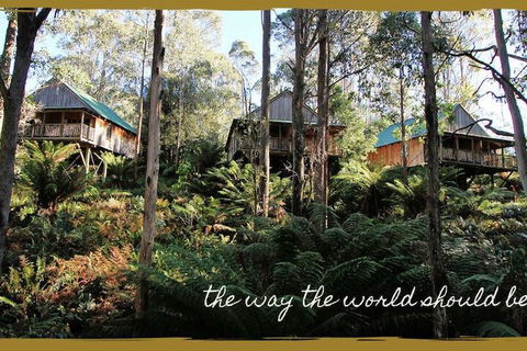 Lemonthyme Wilderness Retreat - Accommodation Resorts 5