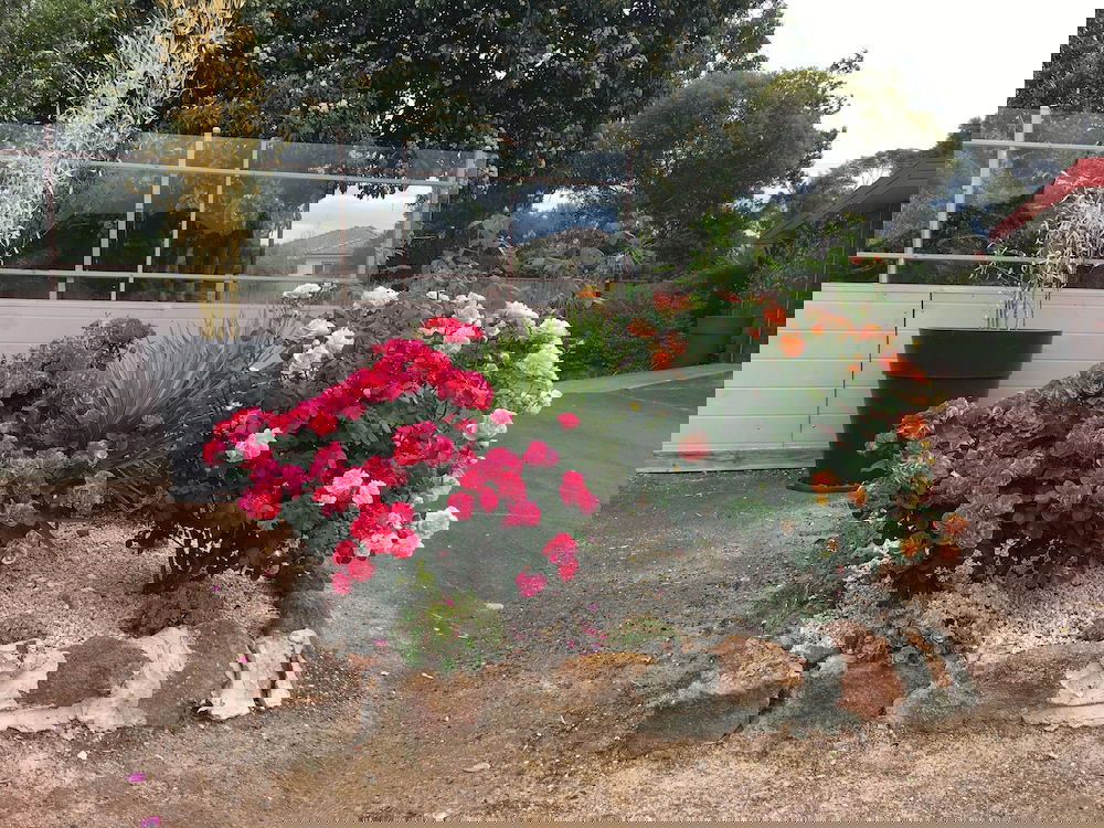 Ararat VIC Accommodation Resorts