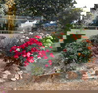 Statesman Motor Inn - Accommodation Resorts