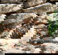 Jenolan Caves House - Accommodation Resorts