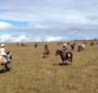 Susan River Homestead - Accommodation Resorts
