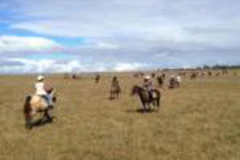 Susan River Homestead - Accommodation Resorts 0