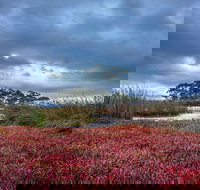 Saintys Creek Cottage - Accommodation Resorts