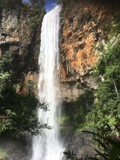 Purling Brook Falls Gwongorella - Accommodation Resorts 2
