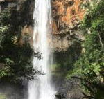 Purling Brook Falls Gwongorella - Accommodation Resorts