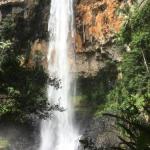 Purling Brook Falls Gwongorella - Accommodation Resorts 0
