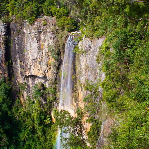 The Sanctuary At Springbrook - Accommodation Resorts 5