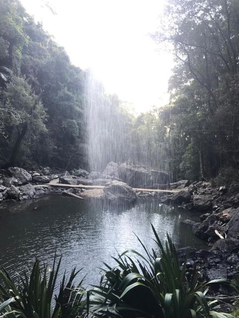 The Sanctuary At Springbrook - Accommodation Resorts 2