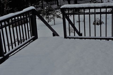 Cradle Alpine Retreat - Accommodation Resorts 1