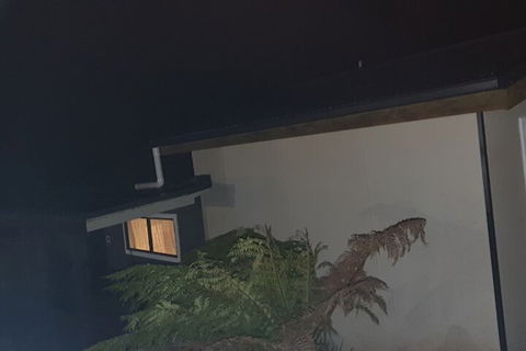 Cradle Alpine Retreat - Accommodation Resorts 2