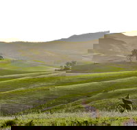 Ketchup's Bank Glamping - Accommodation Resorts