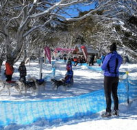 Cloud 9 Alpine Lodge - Accommodation Resorts