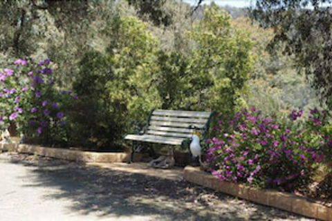 Wild Cherry Bed & Breakfast - Accommodation Resorts 3