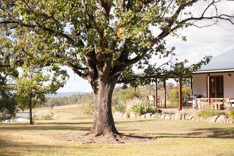 Audrey Wilkinson Vineyard - Accommodation Resorts 2