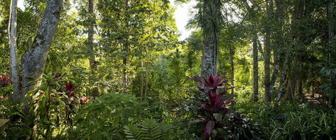 Sharlynn By The River - Accommodation Resorts 5