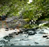 Sharlynn by the River - Accommodation Resorts