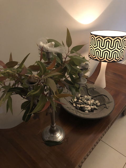 Gumnut Grove The Vintage - Accommodation Resorts 5