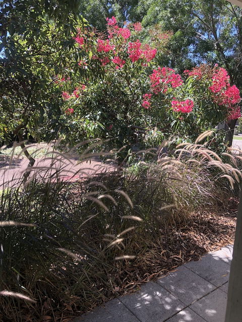 Gumnut Grove The Vintage - Accommodation Resorts 2