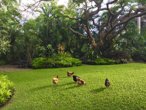 Eden Rest - Accommodation Resorts 1